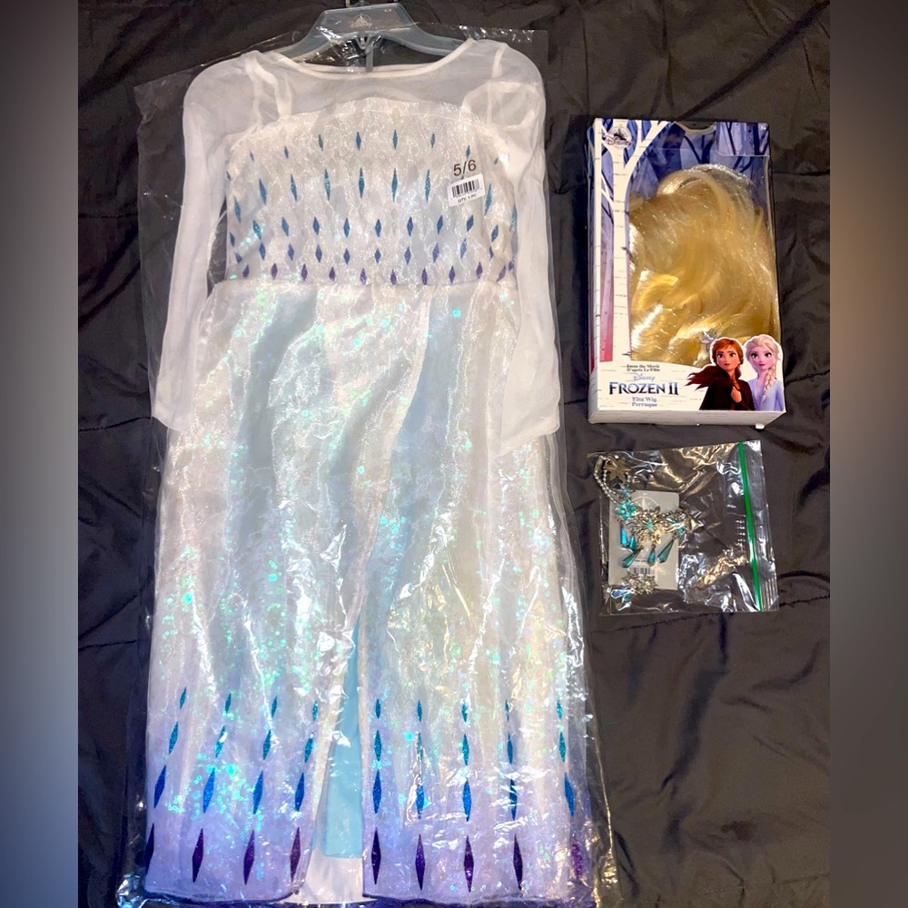 Disney Frozen 2 Elsa Costume & accessories size 5/6